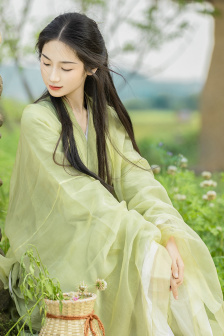 白眉大侠小说